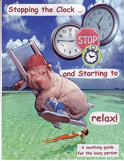 RenewalHEROProjcover